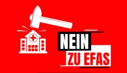 Die Gewerkschaft im Service public _ vpod_ssp